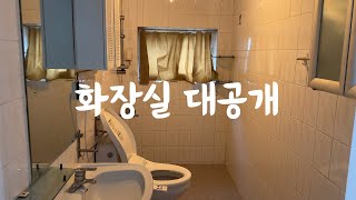 (ENG sub) [Reviving Old House] EP.02 Introducing my new house bathroom | Toilet with the most holes