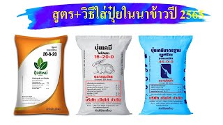 สูตรปุ๋ยสำหรับข้าวนาปี 2565