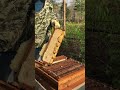 Honey Harvest Time 🍯🐝 Beekeepers in Busy Action #Shorts