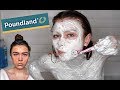 Testing Poundland Beauty for 24 Hours... Rip my skin | Flossie