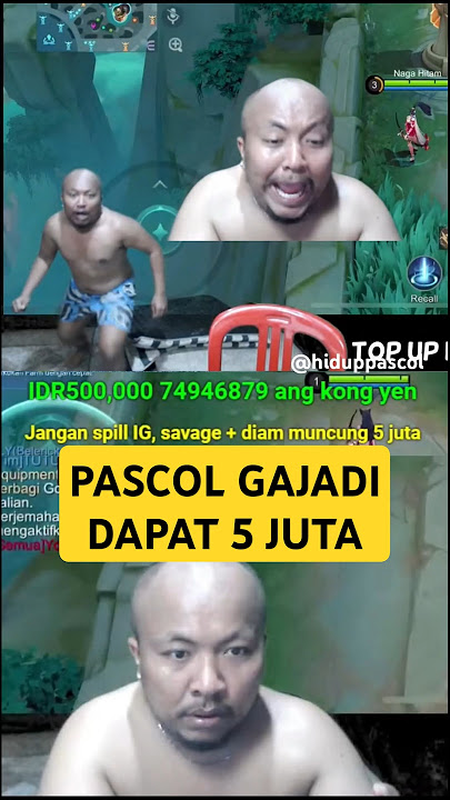 PASCOL GAJADI DAPAT 5 JUTA ❗❗🤣🤣 #pascolshort #hiduppascol #pascol