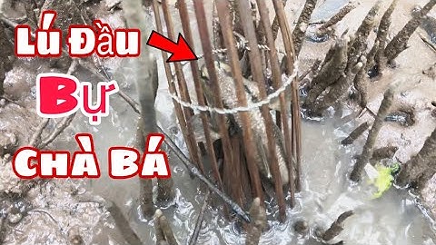 Đặt Cá Thòi Lòi Mà Khi Thăm Gặp Em Cá Lú Đầu Bự “CHÀ BÁ” Trong Chài Dy Là Mê Liền || @đoàn 39 Vlog