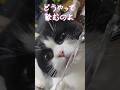 どうやって飲むの？！