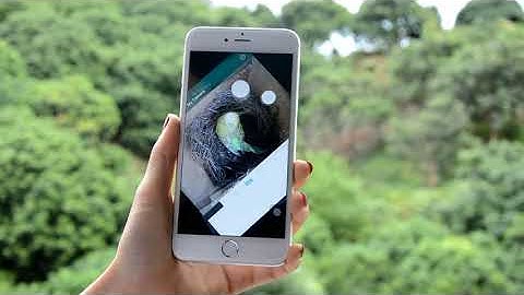 WiFi bird box camera setup and view on your mobile phone