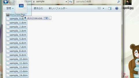 dcm2raw : Aggregating multiple DICOM files into one RAW data