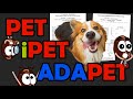 Pattern Exploiting Training explained! | PET, iPET, ADAPET