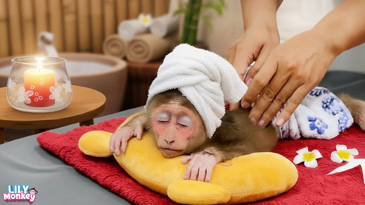 Прекрасный момент! Лили наслаждается расслабляющим домашним спа | История Лили