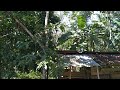 Santai di Belakang rumah || Akun Publik Merapat||