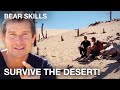 Bear's Ultimate Desert Survival Tips - Bear Skills