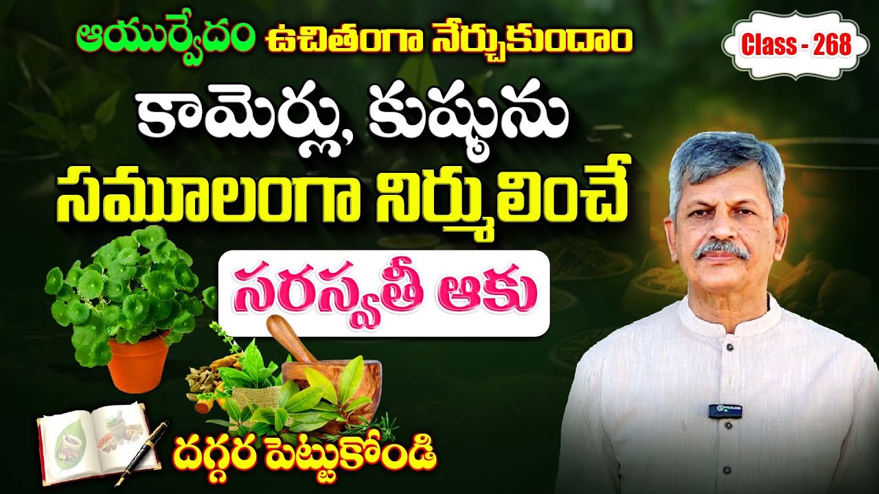 Learn Ayurveda | Free Classes 269 | Saraswati Leaf Health Benefits | B Anjaneya Raju #sreesannidhitv