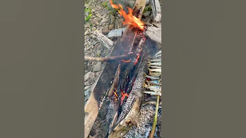 Outdoor Fish BBQ 