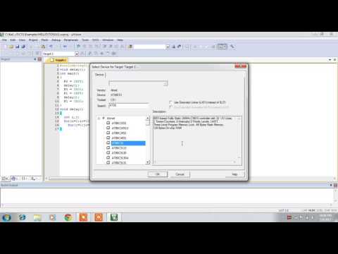 Microcontroller Lab Demo