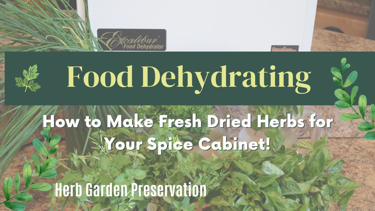 How to Dehydrate Fresh Herbs Food Dehydrating Make Fresh Herbs Shelf Stable & Homemade