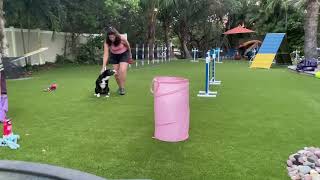 SERP vs Threadle 1