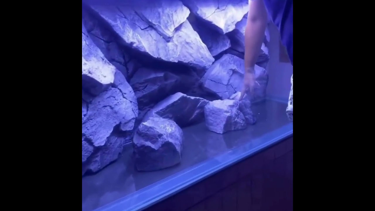 How to Create an Epic Rocky Landscape in Your Aquarium with AquaDecor 3D Backgrounds