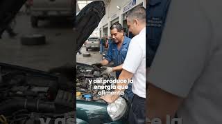 función del alternador del auto