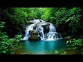 River Sounds Meditation Sleep Forest River Gentle Stream 🍀 White Noise Stress Relief Calm