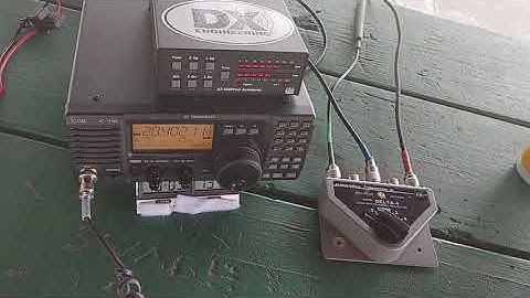 Chameleon CHA TDL 1st Contact Today After Setting Up