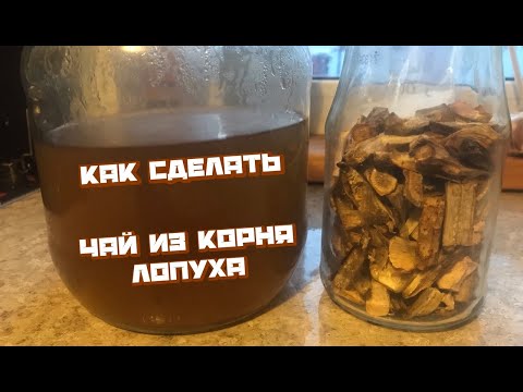 Как сделать чай из корня лопуха