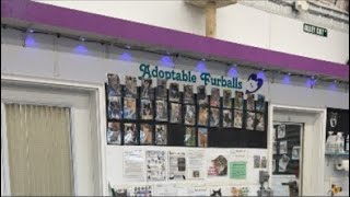 Empty spot in the adoption wall!!