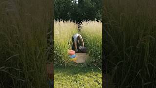 You Won’t Believe What’s Inside This Grass Tunnel…”