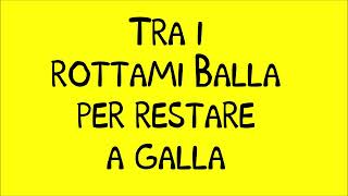 Video thumbnail of "dove si balla -dargen d'amico  (testo/lyrics)#sanremo22 #lyrics"