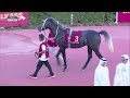43rd Al Rayyan Race Meeting - Msheireb Cup - Season 2023/2024