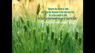 When Is ABIB (New Year) According to scripture?  PASSOVER IS NEAR.  This is HOW to KNOW
