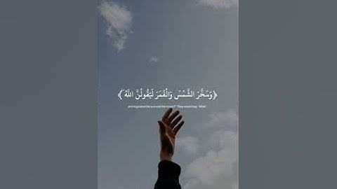 (ٱلَّذِينَ صَبَرُواْ وَعَلَىٰ رَبِّهِمْ يَتَوَكَّلُونَ)، سورة النحل -42 #عبدالرحمن_مسعد