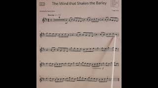 The Wind that Shakes the Barley, Traditional Irish, piano accompaniment at rehearsal speed