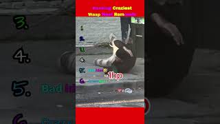 Ranking Crazy WASP NEST REMOVALS! #viral #funnymemes #tiktok #funnyshorts