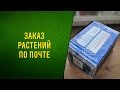 Заказ растений по почте