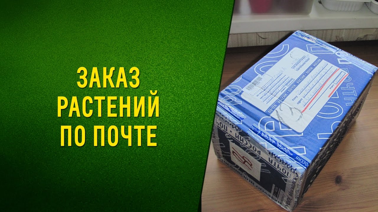 Агрофирма Наш Сад Интернет Магазин Каталог