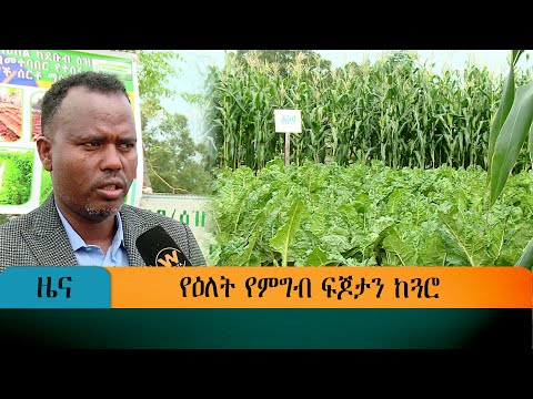 ቪዲዮ: ከጓሮ ፖስም ችግሮችን መፍታት - ኦፖስሙን እንዴት ማስወገድ እንደሚቻል