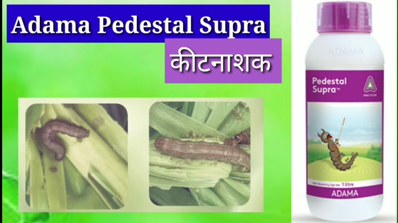 Adama Pedestal Supra Insecticide YouTube