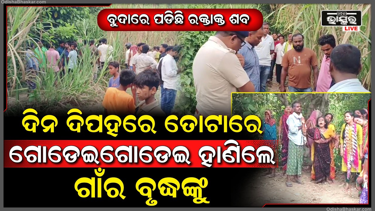 ଦିନ ଦ୍ବିପହରେ ତୋଟା ମଝିରେ ଗୋଡେଇ ଗୋଡେଇ ହା-ଣି ଦେଲେ ଭେଣ୍ଡିଆ ପୁଅକୁ, ବୁଦା ଭିତରେ ପଡିଛି ମୃ-ତଦେହ