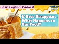 🎧 Easy English Podcast | If Bees Disappear… What Happens to Our Food? | VocabJamEnglish