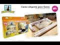 Cama Gato Ventana