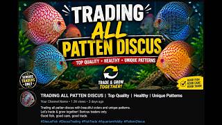 Complete Chart Pattern Guide | Support, Resistance &amp; Breakout Strategy
