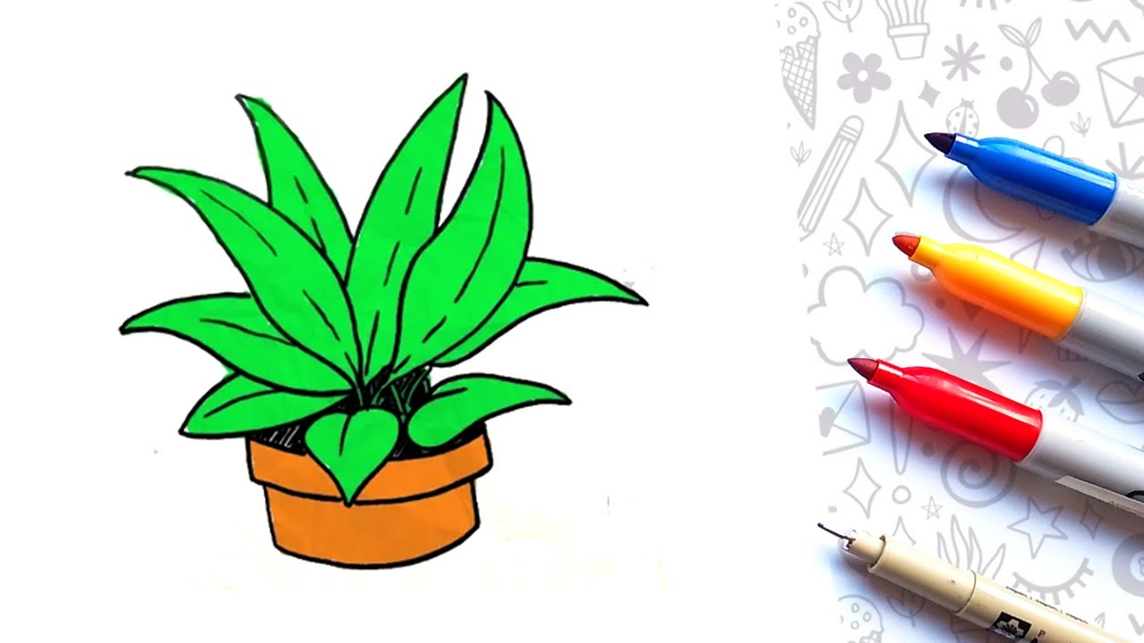 Como Dibujar una Planta Facil | How to Draw a Plant Easy - thptnganamst.edu.vn