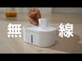PETWANT 自動感應無線寵物飲水機 W4-L product youtube thumbnail