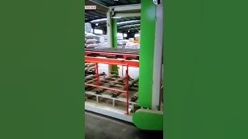Automatic XYZ type big bag palletizing stacking machine testing video
