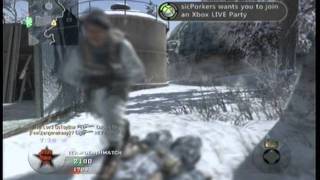 CoD Black Ops: Dual Pythons FTW