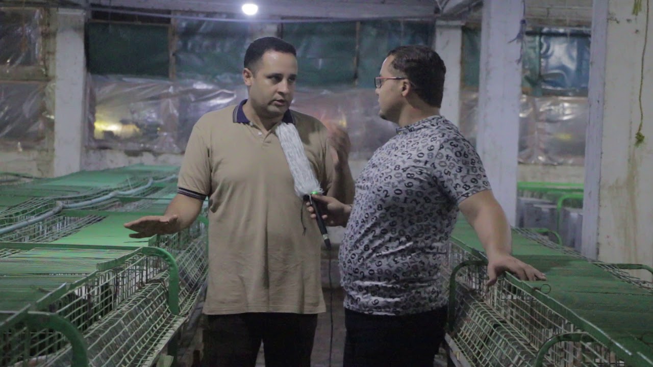 لقاءات الاستاذ / محمد سلامة عن (كيف تكون مربى ارانب محترف من الدرجة الاولى) 7