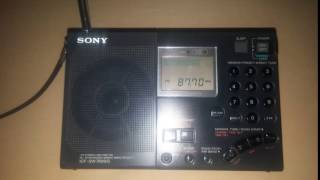 Radio Hit 87.70 MHz VHF-FM. Perú - Lima. screenshot 4
