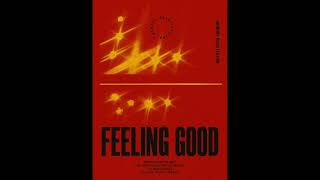 Rare Vintage SOUL JAZZ Sample Chops | Vintage Sample Pack | Feeling Good