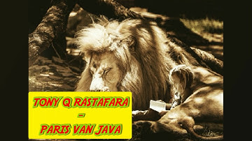 TONY Q RASTAFARA - PARIS VAN JAVA
