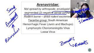 RNA Viruses  Arenaviridae LCMV