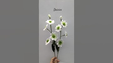 Làm hoa cúc xanh kẽm nhung - DIY pipe cleaner flower  #handmade #flowers #tutorial #diyflower