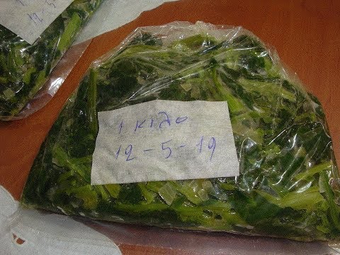 Σπανάκι στον καταψύκτη - Spinach in the freezer  // Stella LoveCook